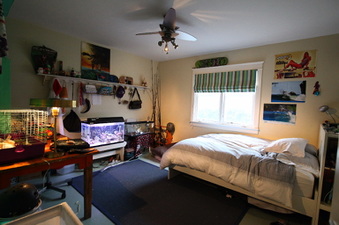 Enlarge photo 10