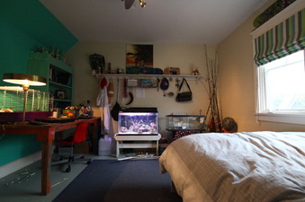 Enlarge photo 15