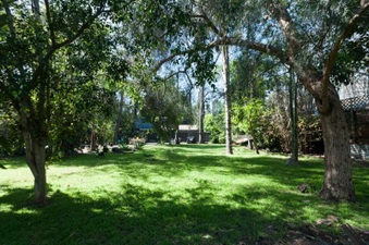 Enlarge photo 12