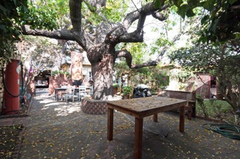 Enlarge photo 15