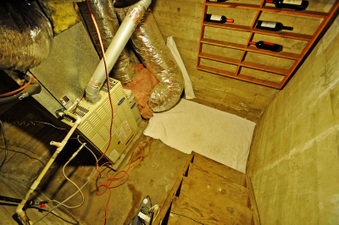 Enlarge photo 30
