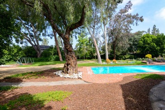 Enlarge photo 56