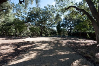 Enlarge photo 62