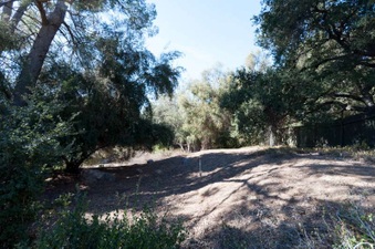 Enlarge photo 67