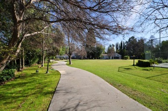 Enlarge photo 55