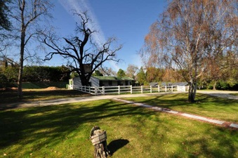 Enlarge photo 58