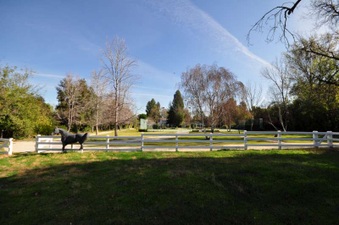 Enlarge photo 59