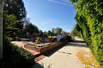 Enlarge photo 83
