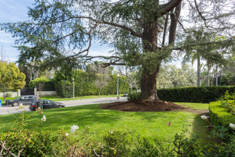 Enlarge photo 13
