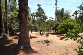 Enlarge photo 11