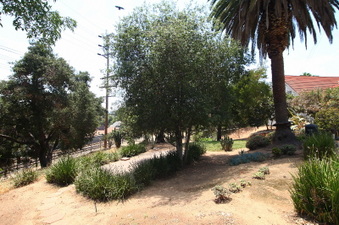 Enlarge photo 30
