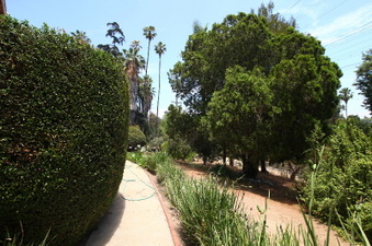 Enlarge photo 32