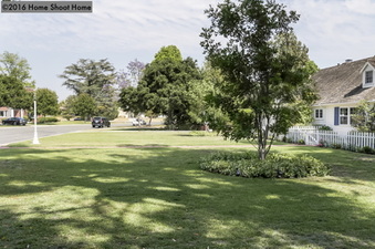 Enlarge photo 59