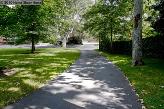 Enlarge photo 71