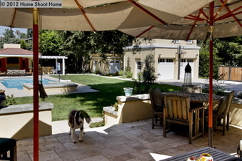Enlarge photo 52