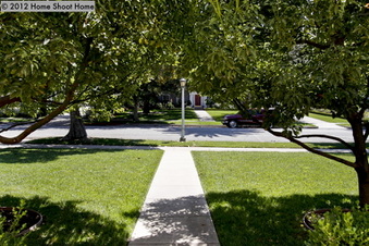 Enlarge photo 67