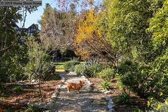 Enlarge photo 77
