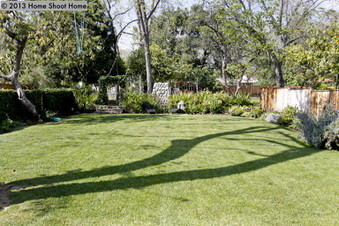 Enlarge photo 39