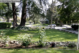 Enlarge photo 48
