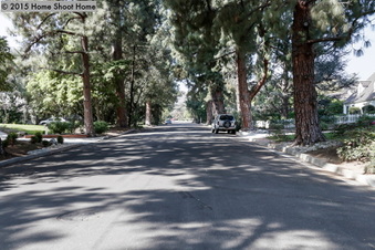 Enlarge photo 57