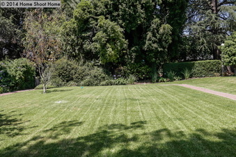 Enlarge photo 66