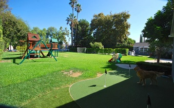 Enlarge photo 43
