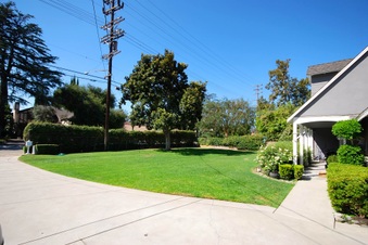 Enlarge photo 73