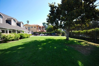 Enlarge photo 77