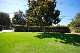 Enlarge photo 80