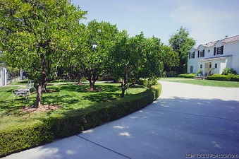Enlarge photo 12