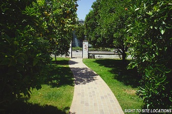 Enlarge photo 146