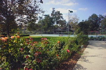 Enlarge photo 110