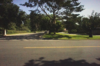 Enlarge photo 142