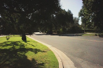 Enlarge photo 150