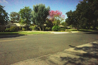 Enlarge photo 152