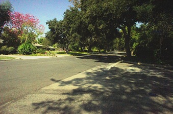 Enlarge photo 153