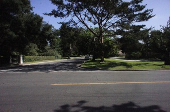 Enlarge photo 154