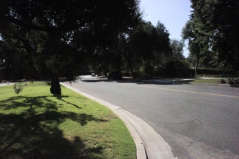Enlarge photo 159