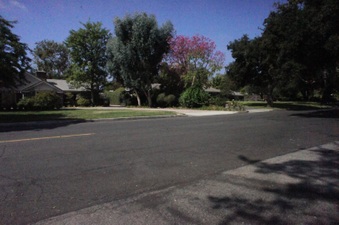 Enlarge photo 161