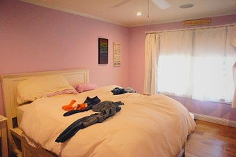 Enlarge photo 80