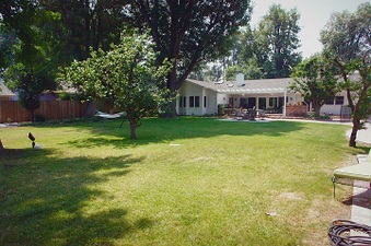 Enlarge photo 90