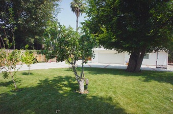 Enlarge photo 91