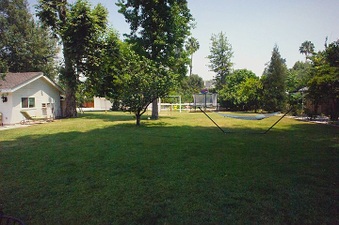 Enlarge photo 96