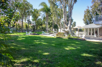 Enlarge photo 102