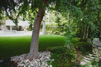 Enlarge photo 90