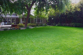 Enlarge photo 95