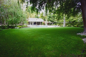 Enlarge photo 102