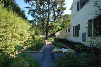 Enlarge photo 79