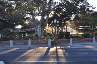 Enlarge photo 7