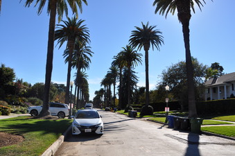 Enlarge photo 13